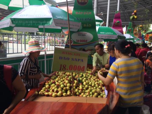 Hỗ trợ nông dân vùng hạn, mặn tiêu thụ trái cây ảnh 1